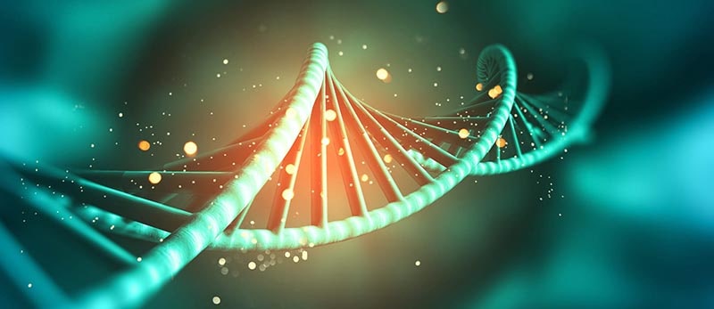 DNA double helix illustration